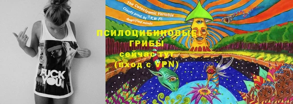 трава Алексин