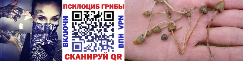 Псилоцибиновые грибы MAGIC MUSHROOMS  Чехов 